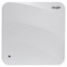 RG-AP840-I